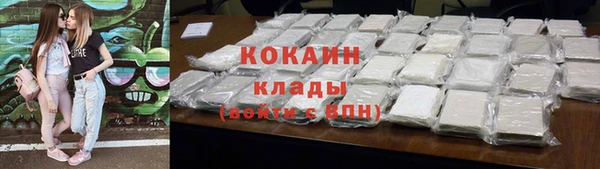 шишки Абаза