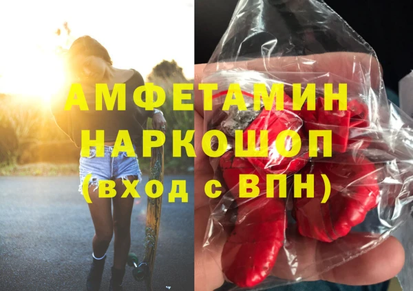 шишки Абаза
