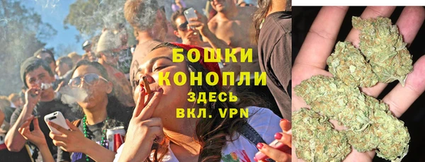 шишки Абаза