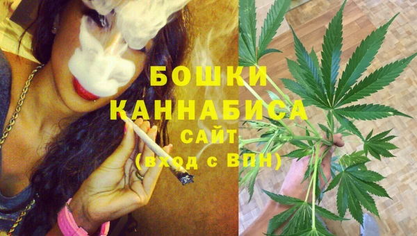 шишки Абаза