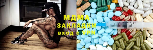 шишки Абаза