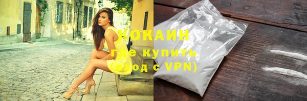 шишки Абаза