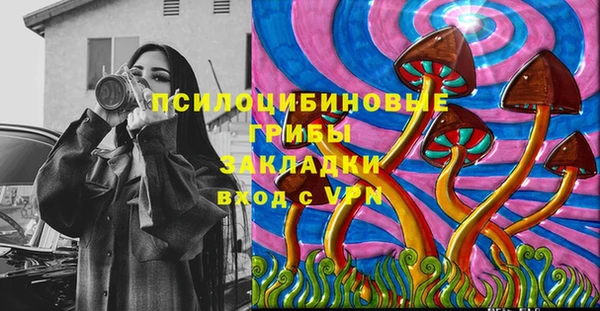 шишки Абаза